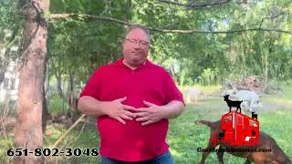 Wholesale Goat Brush Removal
