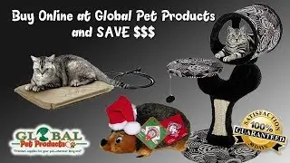 pet supplies for less Top Pet Products with Free Shipping pet supplies for less