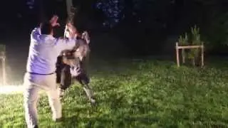 Soir&eacute;e Magic 2015 : Deuxi&egrave;me duel de Garruk