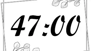 47 Minute Timer | 2820 Second Timer | 47 Minute Countdown with Music