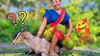 सोच में पड़ा बकरा 🤔🐐| Cute Animal 🥰