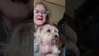 Emotional Support Crew! #dogs