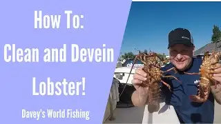 How to Clean and Devein Lobster