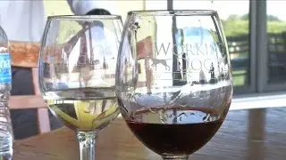 Celebrating New Jersey Wine Week