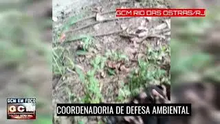 GCM RIO DAS OSTRAS/RJ | COORDENADORIA DE DEFESA AMBIENTAL
