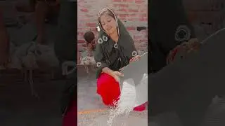 mne mila bevda log #viral song #video