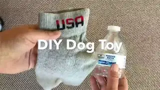 DIY Dog Toy with Micheline's Pups