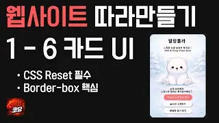 웹사이트 따라만들기 1-6 | 카드 UI 만들기 (HTML & CSS 기초 CSS Reset 완전 정리)