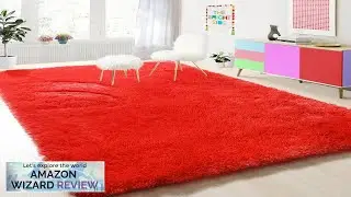 PAGISOFE Soft Modern Red Area Rug, 4x6 Feet, Shaggy Indoor Rug for Review