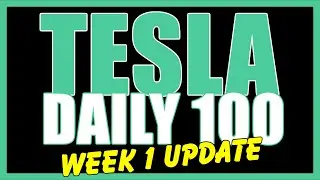 Investing $100 Daily Into Tesla | Week 1 Update | Simple Option Trading