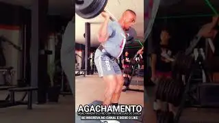 Agachamento Livre Progress&atilde;o @denivalnascimento5168 #academia #muscula&ccedil;&atilde;o #shorts #treino #dieta