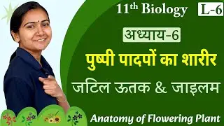 L-6, जटिल ऊतक (complex tissue) & जाइलम | अध्याय-6, पुष्पी पादपों का शारीर | 11th Biology