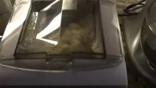 Making lasagne noodles in the Philips Pasta Maker