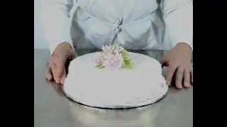 Tutorial - Soggetti in zucchero - La casa di massy.mpg
