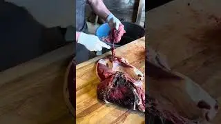 Перебиваем заднюю ногу оленя. 🦌🔪 🥩 #шорты