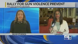 End Gun Violence Michigan