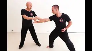 Chin Na：Mastering Self-Defense: How to Subdue an Aggressor with One Move 一招制敌擒拿术