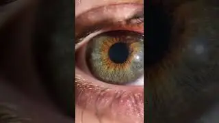 Betrayal #eye #macro #villian #hazeleyes #macrovideo