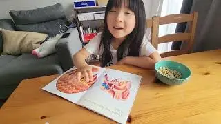 (Shalom Reading Time) How the Ear Can Hear