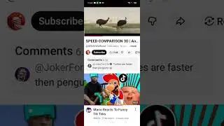 Tino Reacts To SPEED COMPARISON 3D | Animals 🦌