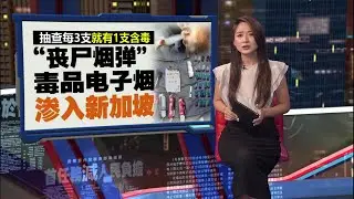 每3支电子烟就有1支含毒品   &ldquo;飘飘&rdquo;毒品电子烟渗入新加坡 | 新闻报报看 21/07/2025