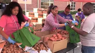 Раздача продуктов питания через автокассу | Фермерский рынок &laquo;Свежие продукты для всех&raquo;
