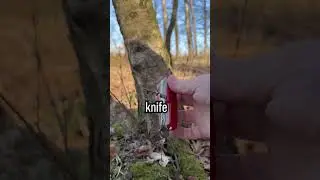 Взлом US Ranger Straw Survival 🥤🌲🏕️#выживание #навыкивыживания
