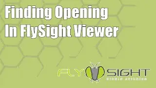 Finding Opening in FlySight Viewer