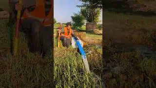 in water pipe well bay 🤣🤣 #trending #funny #youtubeshorts