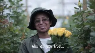 An Inside Look at Golden Flowers