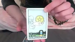 lion's gate portal love tarot reading for somebody