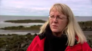 Sp&aacute;l&iacute;k&ouml;n fyrir fiskvei&eth;ar