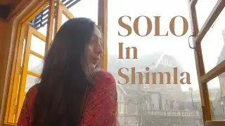 My solo trip in Shimla (Caf&eacute;s to go, places to explore, things to do, & more!)