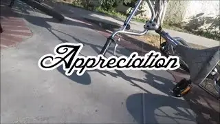 Wild Will - Appreciation (Official Music Video)