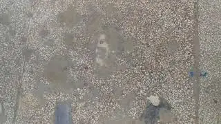 Kharab Chips Floor Bhi Repolish Ho Sakta Hai