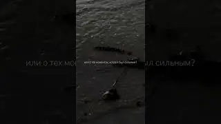 BRENNAN SAVAGE - THE MAN I WAS | перевод | субтитры #lyrics #song #music #edit