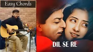 Dil Se Re - Guitar Cover & Lesson || Easy Low Scale Open Chords #311