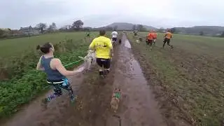 Howling Bull 2019 - Canicross