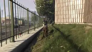 GTA 5 Become a 