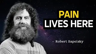 Why Does Heartbreak Hurt Physically? Robert Sapolsky’s Answer Will DESTROY Your Reality