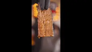 Adobo Brisket on the Gravity Series XT