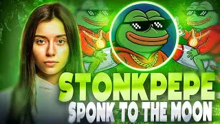 StonkPepe Project Overview 🐸 | Educational Blockchain & Web3 Insights