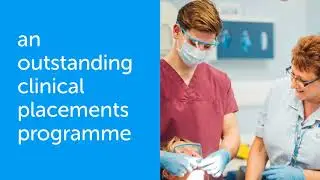 Apply to study Dental Hygiene and Dental Therapy at the University of Sheffield