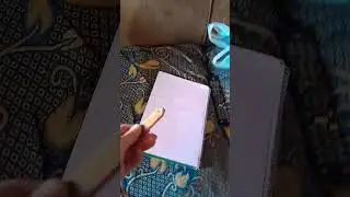 ten cami