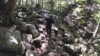 2015 SEPT Fiery Gizzard