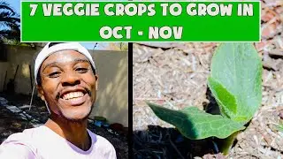 7 Vegetable Crops To Grow In October - November 🥬🌺| Spring Gardening ☀️| Gardening South Africa 🪴