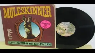 Muleskinner &lrm;&ndash; A Potpourri Of Bluegrass Jam 1974 USA, Progressive Bluegrass,Country Rock