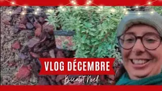 🎄VLOG : Jardinage / Plantation d'arbustes japonais