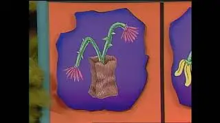 Classic Sesame Street - Grungetta And The Grouchkateers Sings Here Are Some Things Numbers Of Flower