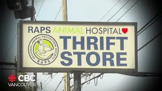 Food bank giving free pet food